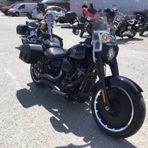 2020 Harley-Davidson FAT BOY ANNIVERSARY FLFBS Custom Paint, Manual, 114cc - Image 3
