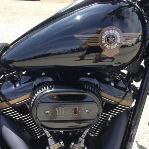 2020 Harley-Davidson FAT BOY ANNIVERSARY FLFBS Custom Paint, Manual, 114cc - Image 4