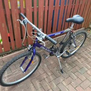 Giant Boulder Mountain Bike - Image 6