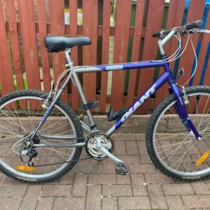 Giant Boulder Mountain Bike