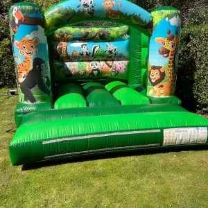 bouncy castles for hire - Image 2