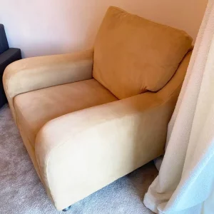 Arighi Bianchi Mustard Moleskin Lounge Chair - Image 3
