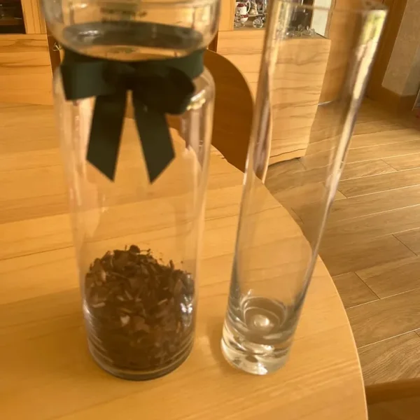 2 tall glass vases