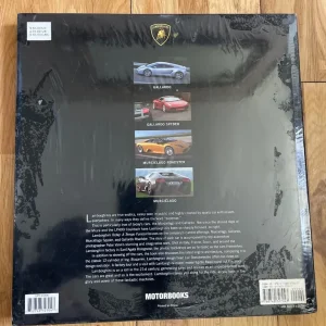 Lamborghini Today: Tempo Furioso - Image 2
