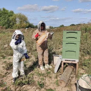 Local Honey with Wild Flowers 2025 - Image 3