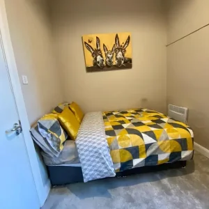 MODERN DOUBLE ROOM ON UNIVERSITY ST BOTANIC - Image 3