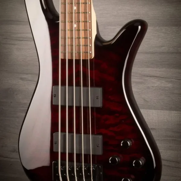 Bassist wanted for prog band
