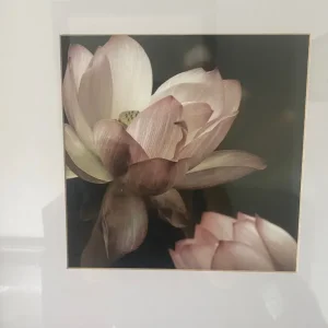 Black glass framed picture - Image 2