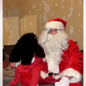 Deluxe XL Santa suit