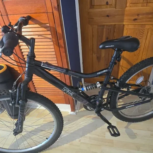 Adult Bicycle