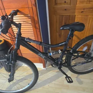 Adult Bicycle