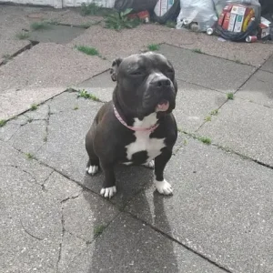 16-month-old girl Freya - Image 4