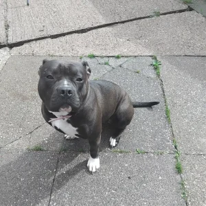 16-month-old girl Freya - Image 5