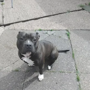 16-month-old girl Freya - Image 6