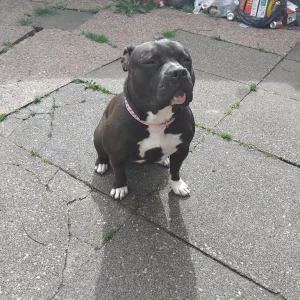 16-month-old girl Freya - Image 7