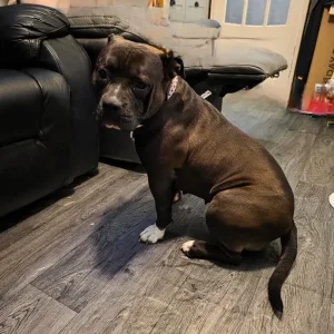 16-month-old girl Freya