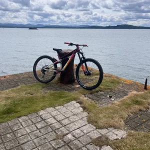 Polygon mtb - Image 4