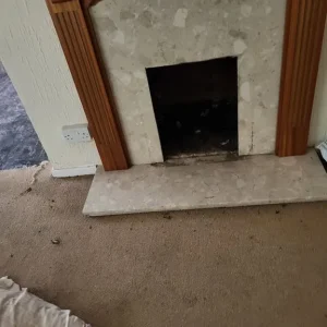 Fire surround and hearth - Image 3