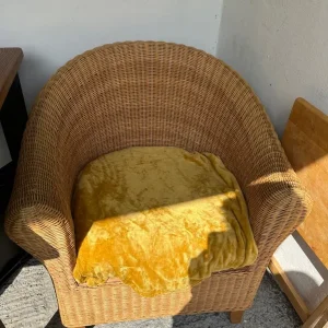 Rattan Armchair with Cushion
