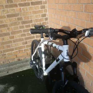 Bike with disc brakes
