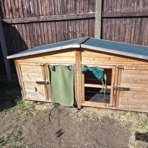 Rabbit hutch - Image 5