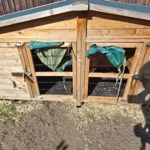 Rabbit hutch - Image 7