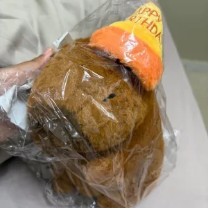 Cute capybara plush toy - Image 2