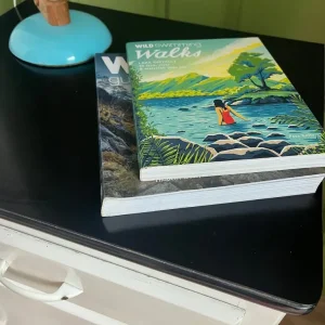 Vintage Mid Century Bedside Cabinet - Image 3