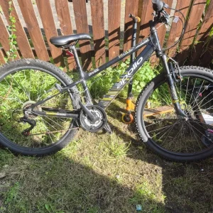 Boys bike