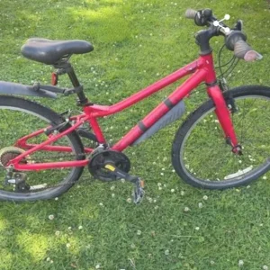 Carrera Saruna 24" kids bike - Image 2