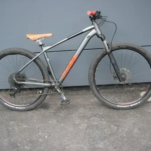 Cube Analog 29er Downhill Bike – Just Serviced, Ready to Ride - Image 2