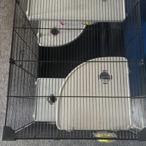 Pet cage - Image 2
