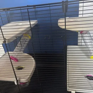 Pet cage - Image 4
