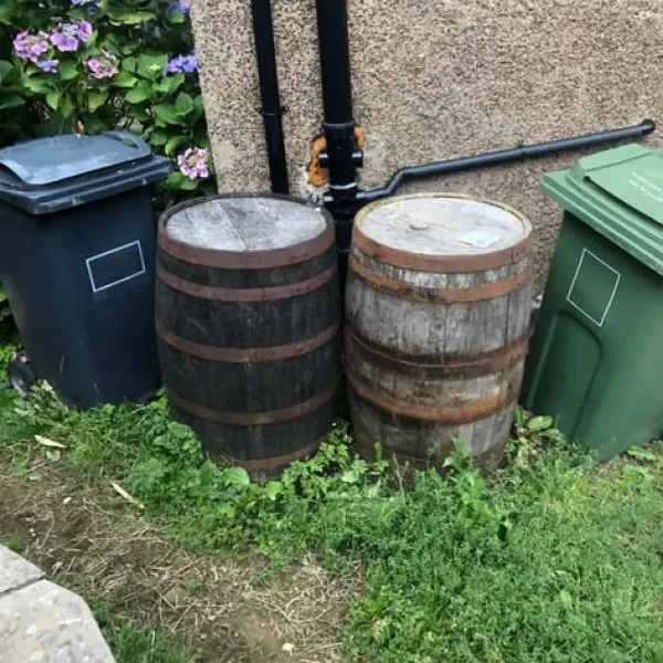 Whiskey Barrel