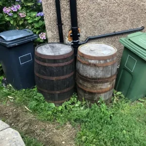 Whiskey Barrel