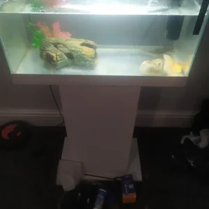 Axolotl tank and accessories - Image 2