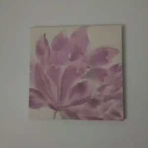 2 canvas pictures