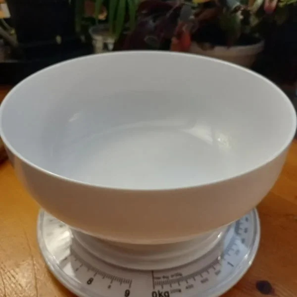 Salter Kitchen Scales