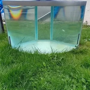 Fish tank, stand & extras - Image 4