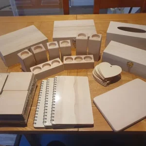 Large Collection of Assorted Wooden Blanks