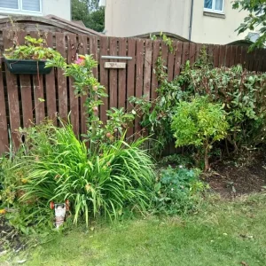 Lady Gardener - Image 7
