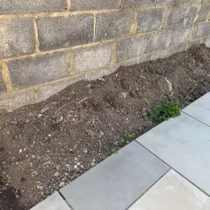 Free soil