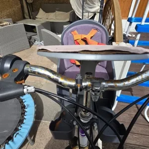 WeeRider child seat