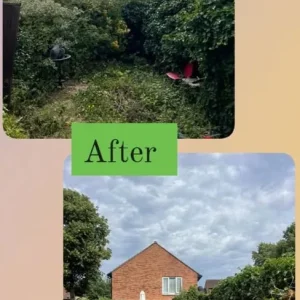 Rubbish and garden clearance services - Image 2