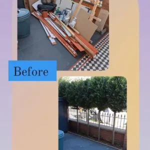 Rubbish and garden clearance services - Image 6