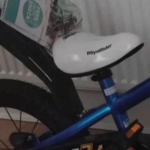 Kids 16inch Royal Rider Bike - Image 2