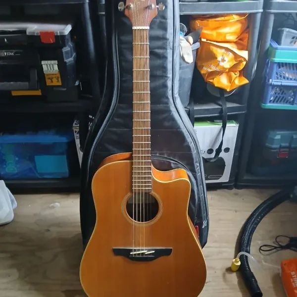 Acoustic guitar