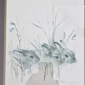 Vintage Mads Stage Danish Artist Rabbit Print - Image 2