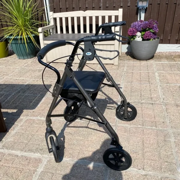 Walker (adult)