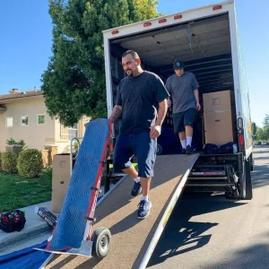 24/7 Professional Movers House Office Piano Furniture Moving & Clearance Services - Image 7